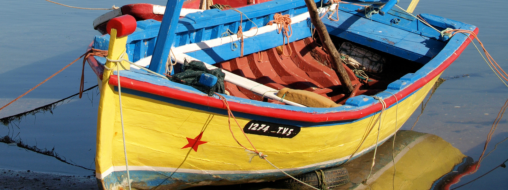 Create Without Limits